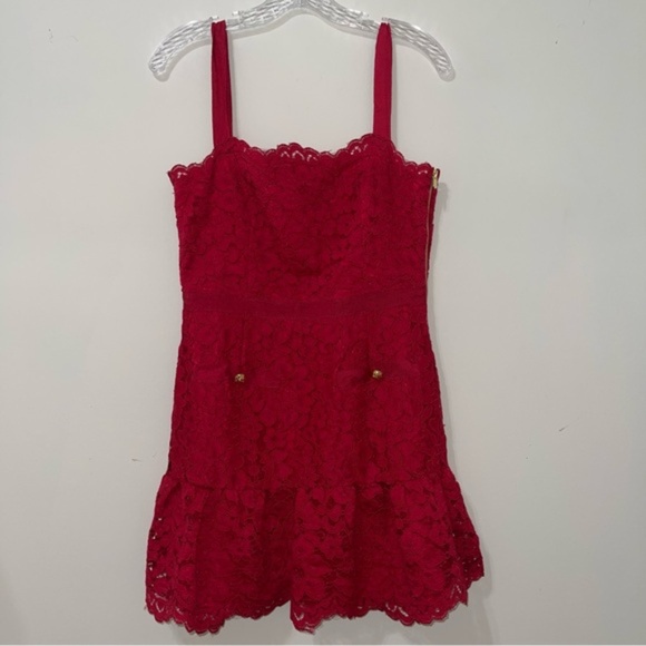 Saylor Verena Red Lace Mini Dress - Picture 6 of 9